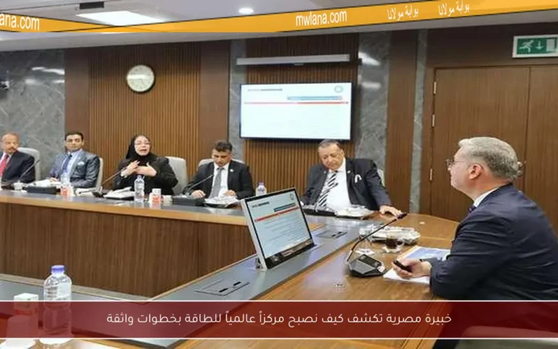 خبيرة مصرية تكشف كيف نصبح مركزاً عالمياً للطاقة بخطوات واثقة