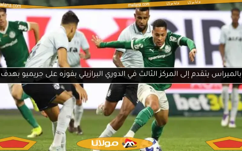 بالميراس يتقدم إلى المركز الثالث في الدوري البرازيلي بفوزه على جريميو بهدف