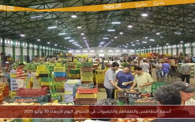 أسعار البطاطس والطماطم والخضروات في الأسواق اليوم الأربعاء 30 يوليو 2025