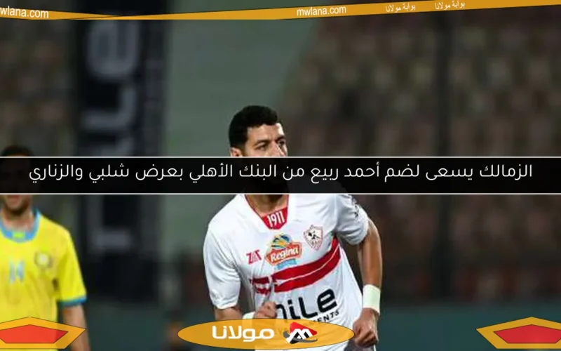 الزمالك يسعى لضم أحمد ربيع من البنك الأهلي بعرض شلبي والزناري