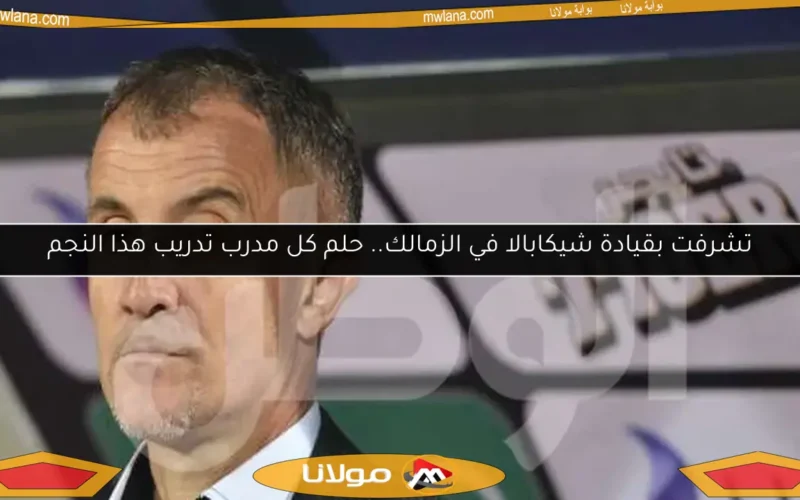 تشرفت بقيادة شيكابالا في الزمالك.. حلم كل مدرب تدريب هذا النجم