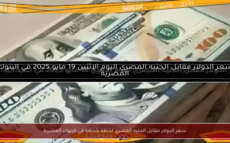 سعر الدولار مقابل الجنيه المصري لحظة بلحظة في البنوك المصرية