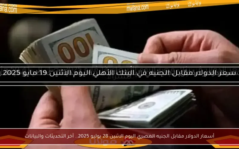 أسعار الدولار مقابل الجنيه المصري اليوم الاثنين 28 يوليو 2025.. آخر التحديثات والبيانات