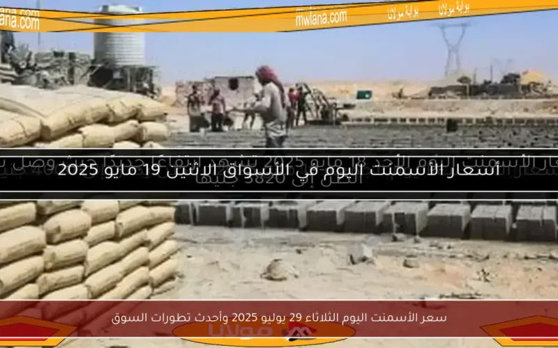 سعر الأسمنت اليوم الثلاثاء 29 يوليو 2025 وأحدث تطورات السوق