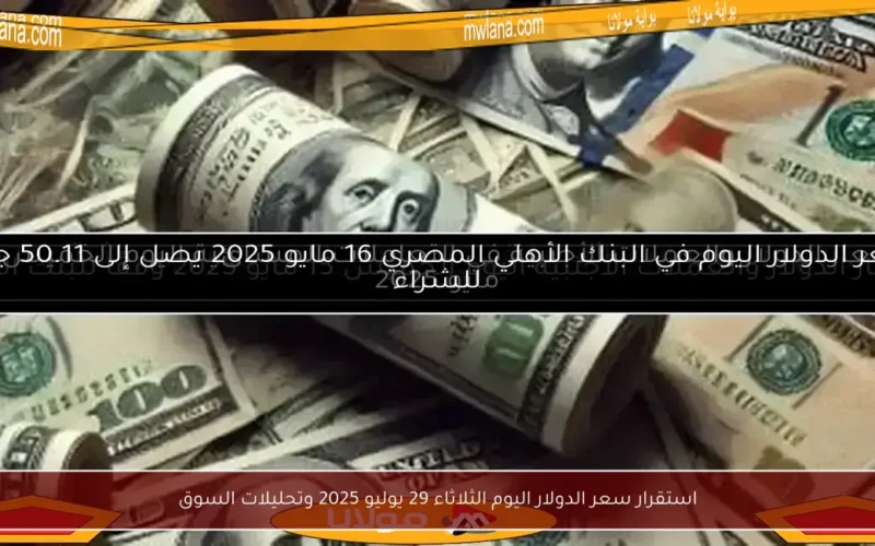استقرار سعر الدولار اليوم الثلاثاء 29 يوليو 2025 وتحليلات السوق