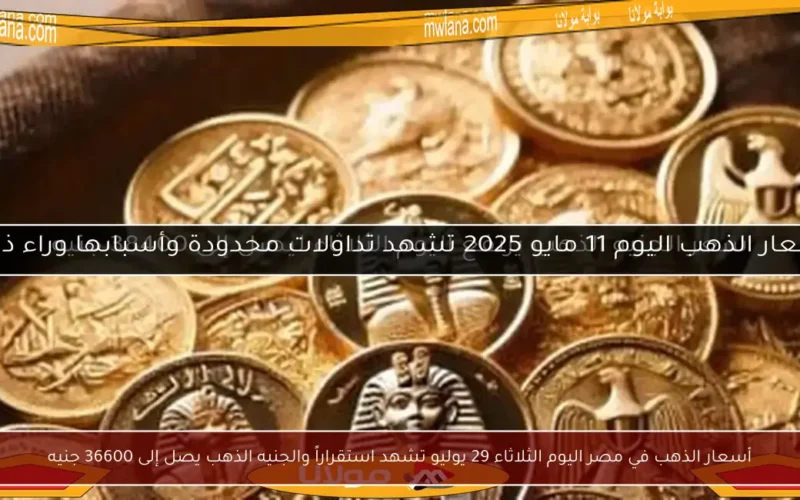 أسعار الذهب في مصر اليوم الثلاثاء 29 يوليو تشهد استقراراً والجنيه الذهب يصل إلى 36600 جنيه
