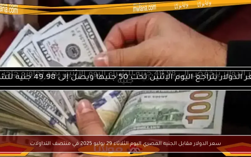 سعر الدولار مقابل الجنيه المصري اليوم الثلاثاء 29 يوليو 2025 في منتصف التداولات