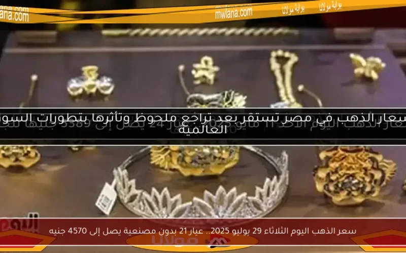 سعر الذهب اليوم الثلاثاء 29 يوليو 2025.. عيار 21 بدون مصنعية يصل إلى 4570 جنيه