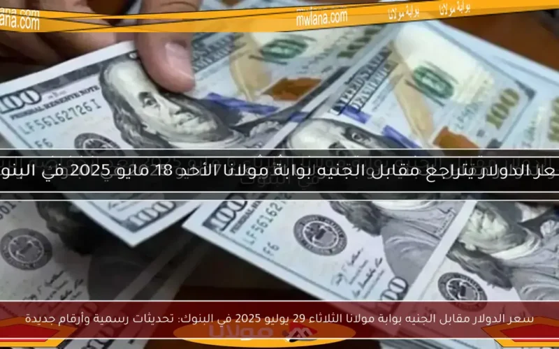 سعر الدولار مقابل الجنيه بوابة مولانا الثلاثاء 29 يوليو 2025 في البنوك: تحديثات رسمية وأرقام جديدة