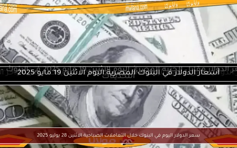 سعر الدولار اليوم في البنوك خلال التعاملات الصباحية الاثنين 28 يوليو 2025