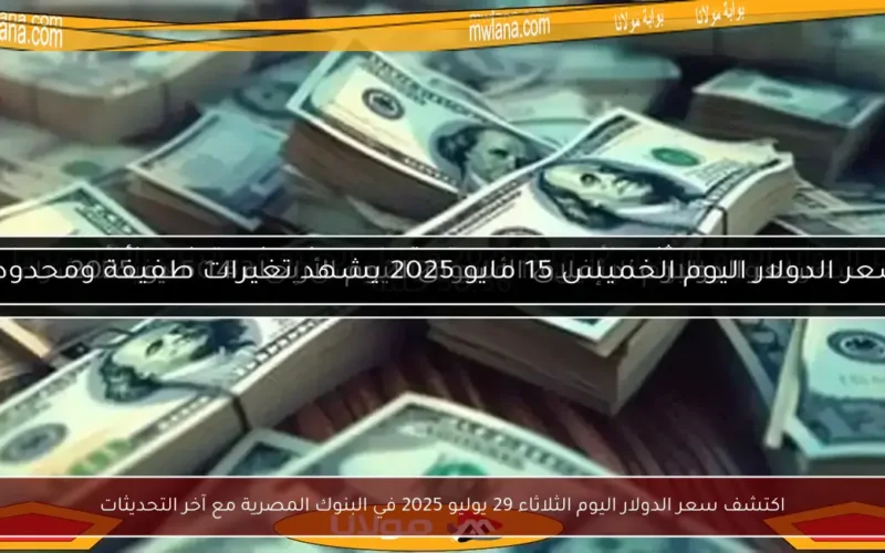 اكتشف سعر الدولار اليوم الثلاثاء 29 يوليو 2025 في البنوك المصرية مع آخر التحديثات