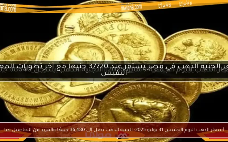 أسعار الذهب اليوم الخميس 31 يوليو 2025: الجنيه الذهب يصل إلى 36,480 جنيهًا والمزيد من التفاصيل هنا