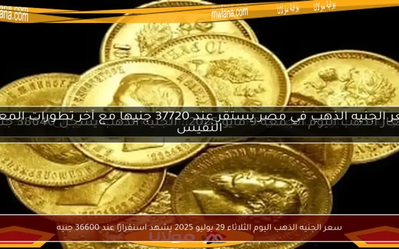 سعر الجنيه الذهب اليوم الثلاثاء 29 يوليو 2025 يشهد استقرارًا عند 36600 جنيه