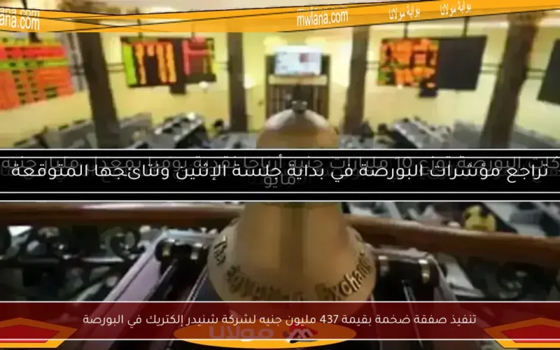 تنفيذ صفقة ضخمة بقيمة 437 مليون جنيه لشركة شنيدر إلكتريك في البورصة