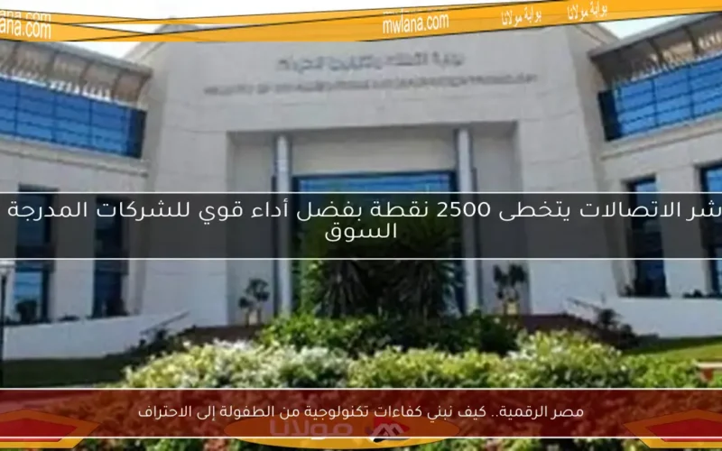مصر الرقمية.. كيف نبني كفاءات تكنولوجية من الطفولة إلى الاحتراف