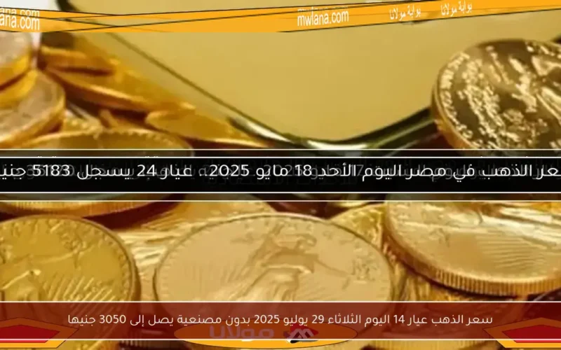سعر الذهب عيار 14 اليوم الثلاثاء 29 يوليو 2025 بدون مصنعية يصل إلى 3050 جنيها