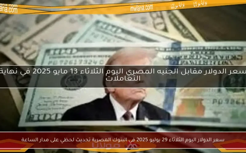 سعر الدولار اليوم الثلاثاء 29 يوليو 2025 في البنوك المصرية تحديث لحظي على مدار الساعة