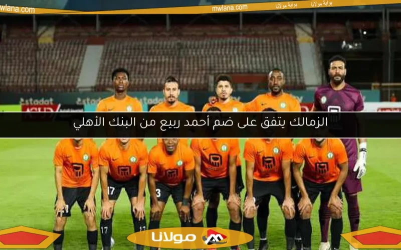 الزمالك يتفق على ضم أحمد ربيع من البنك الأهلي
