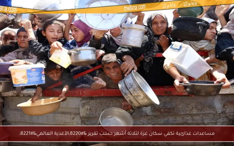 مساعدات غذائية تكفي سكان غزة لثلاثة أشهر حسب تقرير “الأغذية العالمي”