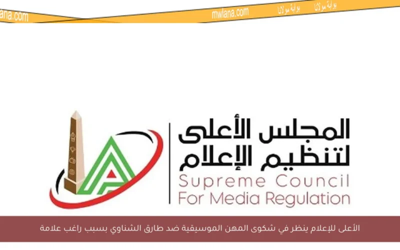 الأعلى للإعلام ينظر في شكوى المهن الموسيقية ضد طارق الشناوي بسبب راغب علامة