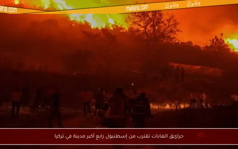 حرائق الغابات تقترب من إسطنبول رابع أكبر مدينة في تركيا