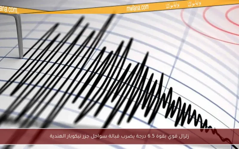 زلزال قوي بقوة 6.5 درجة يضرب قبالة سواحل جزر نيكوبار الهندية