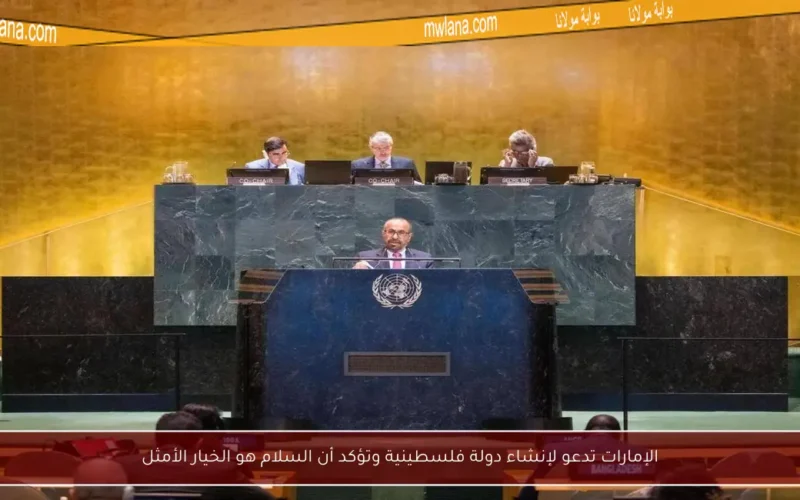 الإمارات تدعو لإنشاء دولة فلسطينية وتؤكد أن السلام هو الخيار الأمثل