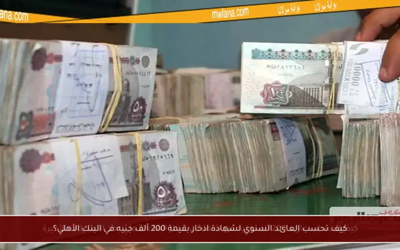 كيف تحسب العائد السنوي لشهادة ادخار بقيمة 200 ألف جنيه في البنك الأهلي؟
