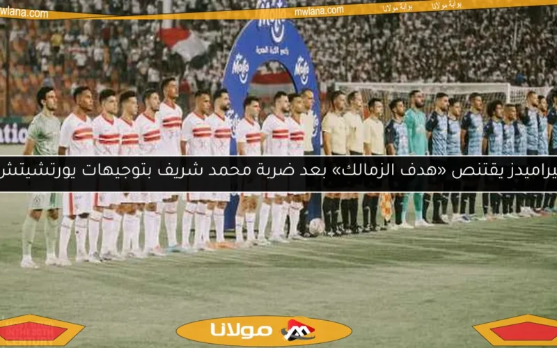 بيراميدز يقتنص «هدف الزمالك» بعد ضربة محمد شريف بتوجيهات يورتشيتش