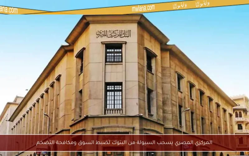 المركزي المصري يسحب السيولة من البنوك لضبط السوق ومكافحة التضخم