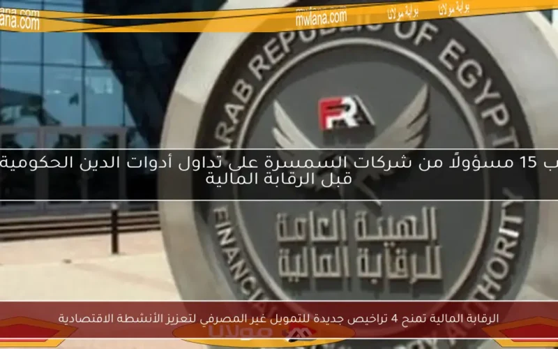 الرقابة المالية تمنح 4 تراخيص جديدة للتمويل غير المصرفي لتعزيز الأنشطة الاقتصادية