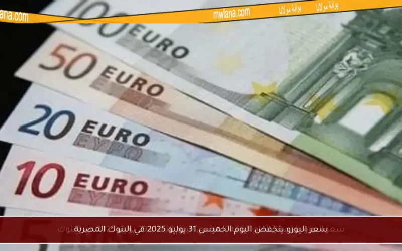 سعر اليورو ينخفض اليوم الخميس 31 يوليو 2025 في البنوك المصرية