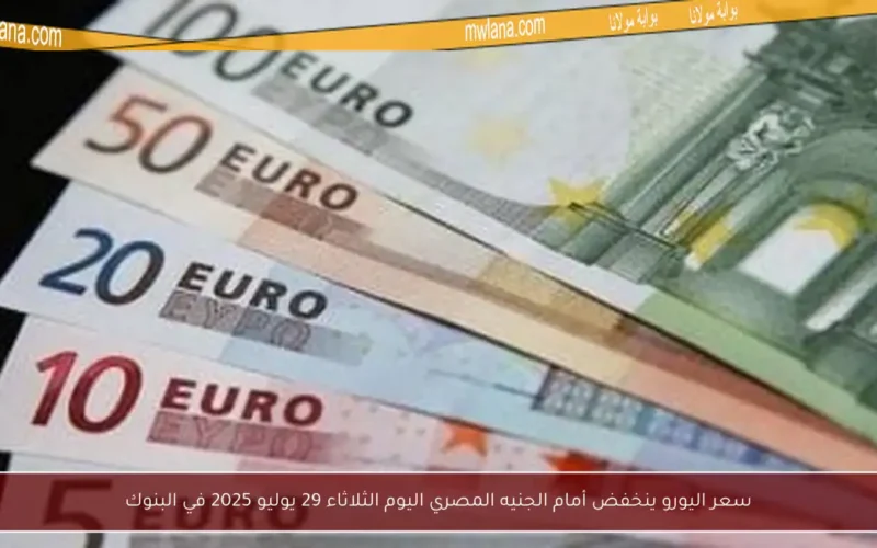 سعر اليورو ينخفض أمام الجنيه المصري اليوم الثلاثاء 29 يوليو 2025 في البنوك
