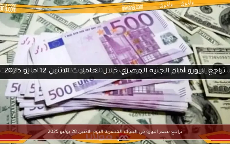 تراجع سعر اليورو في البنوك المصرية اليوم الاثنين 28 يوليو 2025