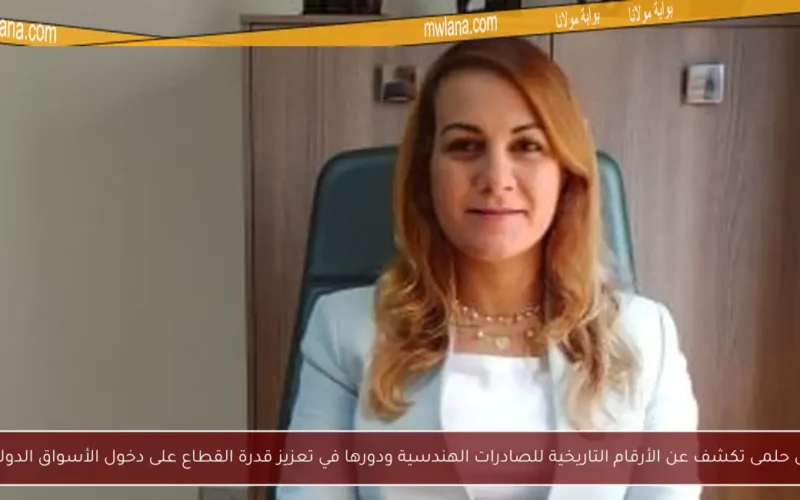 مى حلمى تكشف عن الأرقام التاريخية للصادرات الهندسية ودورها في تعزيز قدرة القطاع على دخول الأسواق الدولية