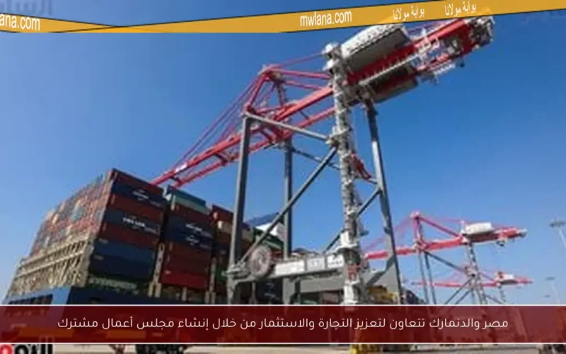 مصر والدنمارك تتعاون لتعزيز التجارة والاستثمار من خلال إنشاء مجلس أعمال مشترك