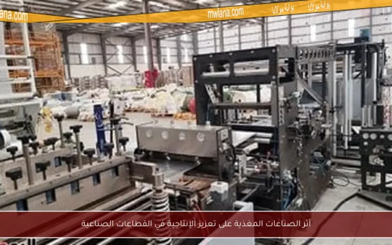 أثر الصناعات المغذية على تعزيز الإنتاجية في القطاعات الصناعية