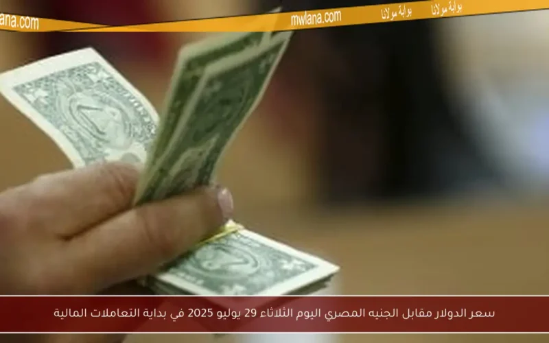 سعر الدولار مقابل الجنيه المصري اليوم الثلاثاء 29 يوليو 2025 في بداية التعاملات المالية