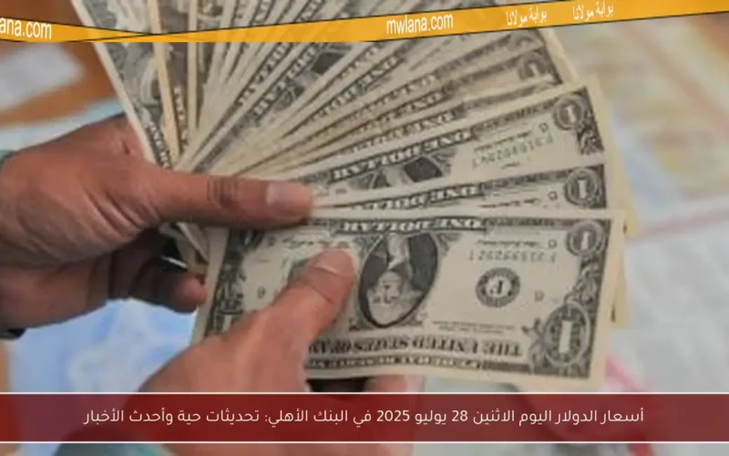 أسعار الدولار اليوم الاثنين 28 يوليو 2025 في البنك الأهلي: تحديثات حية وأحدث الأخبار