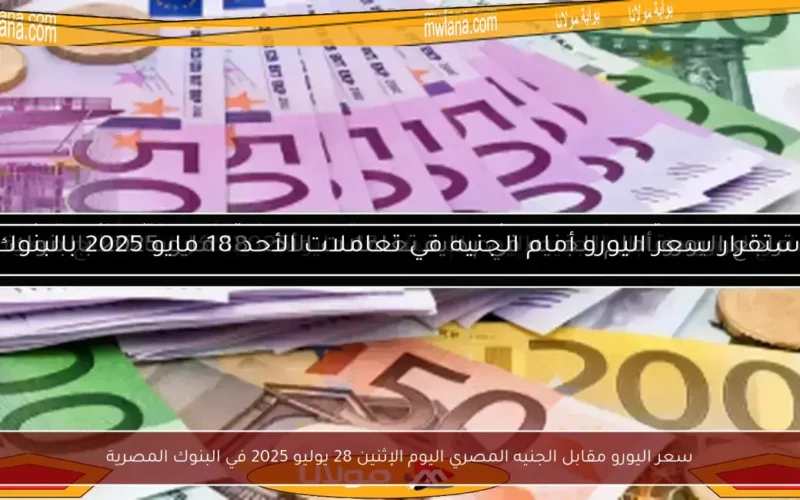 سعر اليورو مقابل الجنيه المصري اليوم الإثنين 28 يوليو 2025 في البنوك المصرية