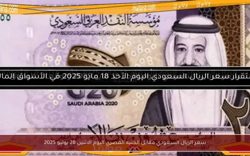 سعر الريال السعودي مقابل الجنيه المصري اليوم الاثنين 28 يوليو 2025