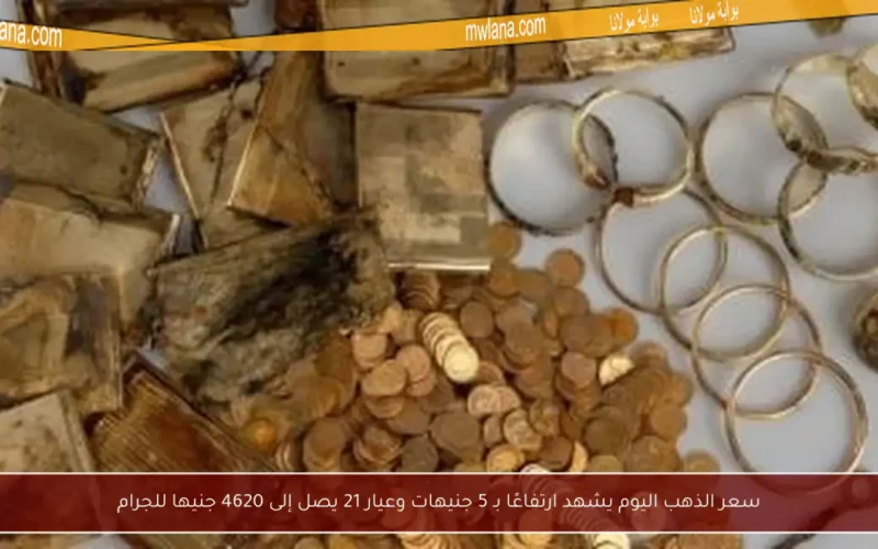 سعر الذهب اليوم يشهد ارتفاعًا بـ 5 جنيهات وعيار 21 يصل إلى 4620 جنيها للجرام