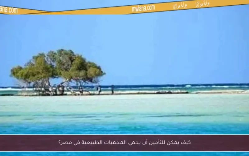 كيف يمكن للتأمين أن يحمي المحميات الطبيعية في مصر؟