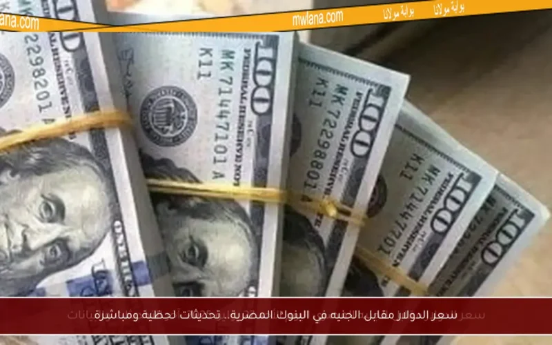 سعر الدولار مقابل الجنيه في البنوك المصرية.. تحديثات لحظية ومباشرة
