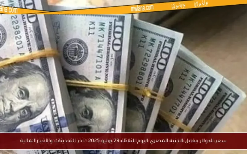 سعر الدولار مقابل الجنيه المصري اليوم الثلاثاء 29 يوليو 2025.. آخر التحديثات والأخبار المالية