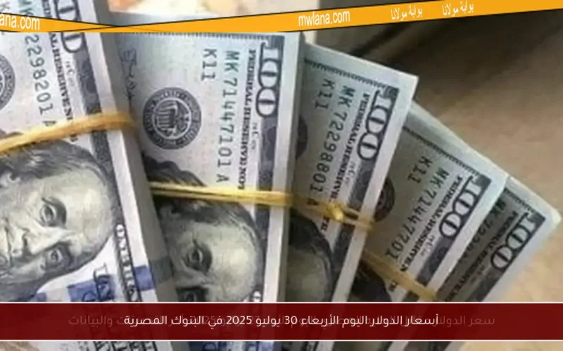 أسعار الدولار اليوم الأربعاء 30 يوليو 2025 في البنوك المصرية
