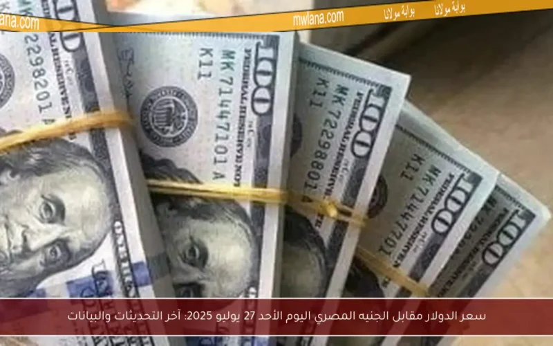 سعر الدولار مقابل الجنيه المصري اليوم الأحد 27 يوليو 2025: آخر التحديثات والبيانات