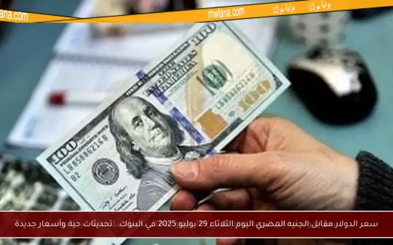 سعر الدولار مقابل الجنيه المصري اليوم الثلاثاء 29 يوليو 2025 في البنوك.. تحديثات حية وأسعار جديدة