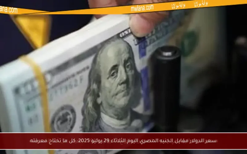 سعر الدولار مقابل الجنيه المصري اليوم الثلاثاء 29 يوليو 2025: كل ما تحتاج معرفته