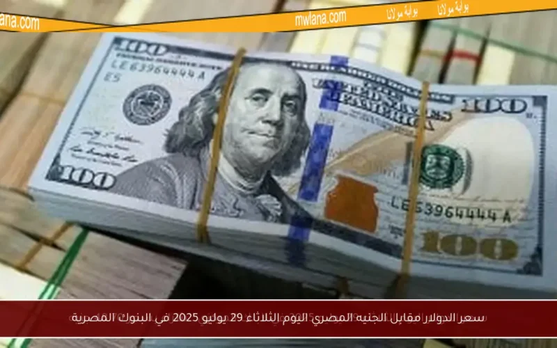 سعر الدولار مقابل الجنيه المصري اليوم الثلاثاء 29 يوليو 2025 في البنوك المصرية